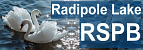 Link to RSPB Radipoel Lake website