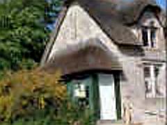 thatched roof